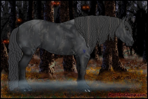 Horse Color:Black  Brindle