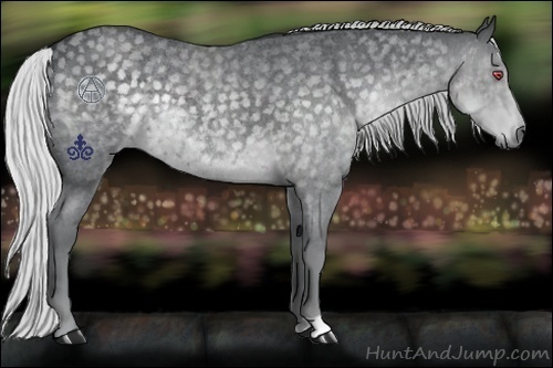 Horse Color:Silver Blue Chinchilla Roan Rabicano 