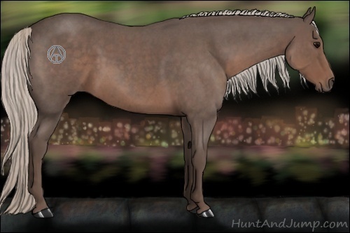 Horse Color:Silver Blue Roan