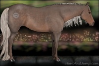 Horse Color:Silver Blue Roan 