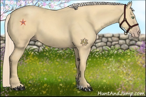 Horse Color:Gold Cream Champagne