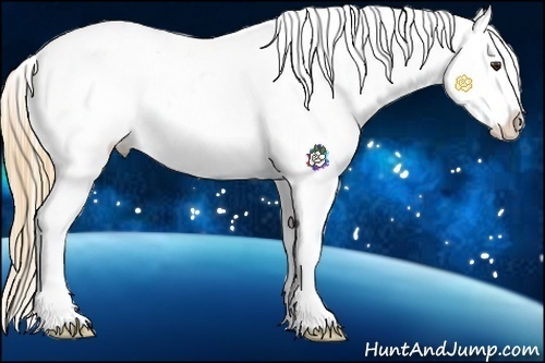 Horse Color:Chestnut Sabino Splash Appaloosa 