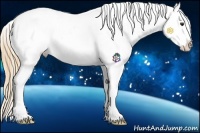 Horse Color:Chestnut Sabino Splash Appaloosa 