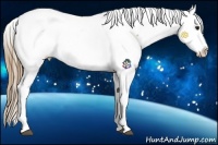 Horse Color:Buckskin Roan Snowcap 
