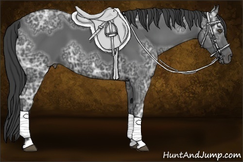 Horse Color:Smoky Black Ice 