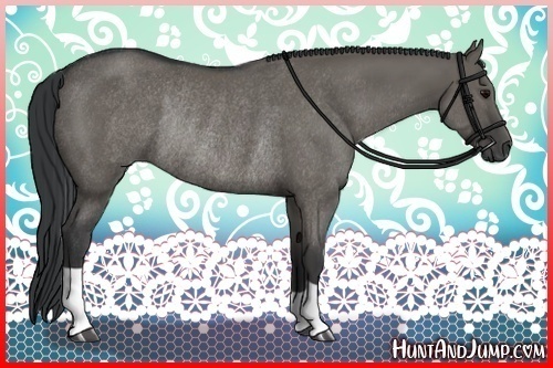 Horse Color:Grullo Rabicano