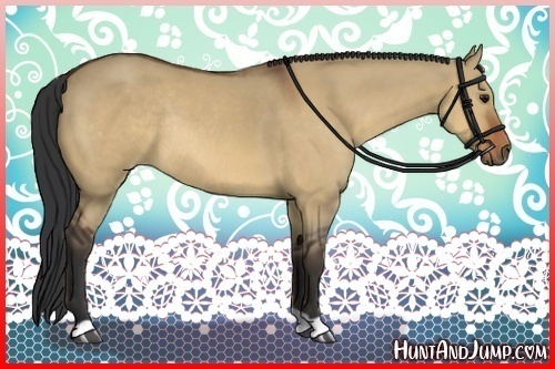 Horse Color:Bay Dun Rabicano
