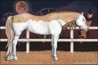 Horse Color:Bay Pearl Splash 