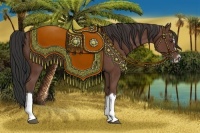 Horse Color:Bay Splash Frame