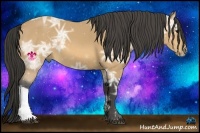 Horse Color:Buckskin Ice 