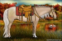 Horse Color:Silver Black Pearl Sabino Rabicano 
