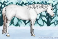 Horse Color:Brown Sabino Blanket 