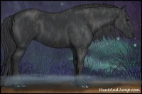 Horse Color:Black  Brindle