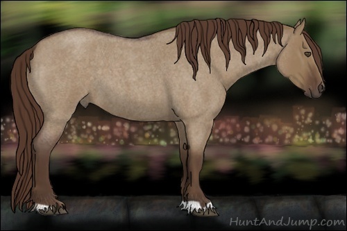 Horse Color:Liver Red Dun Roan 