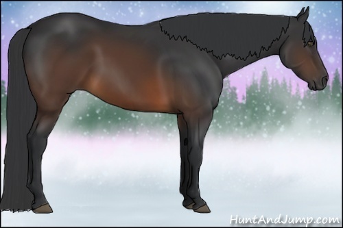Horse Color:Brown 