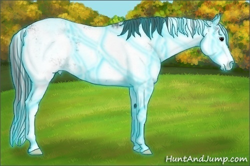 Horse Color:Thunderstruck Black Ice Sabino