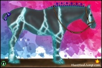 Horse Color:Thunderstruck Black 