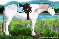 Horse Color:White Spotted Chestnut Tobiano 