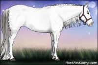 Horse Color:Liver Chestnut Sabino Varnish Rabicano 