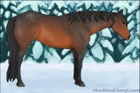 Horse Color:Brown 