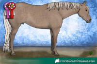 Horse Color:Silver Grullo 