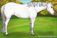 Horse Color:Bay Tobiano Near Fewspot 