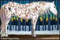 Horse Color:Nacre Bay Appaloosa 