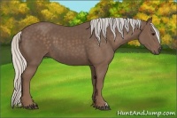Horse Color:Silver Black 