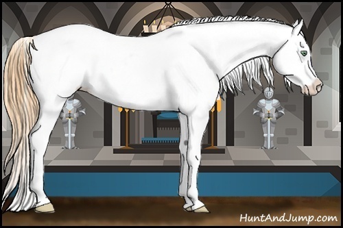 Horse Color:Amber Cream Champagne Appaloosa Brindle