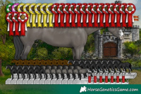 Horse Color:Grullo Sabino 