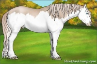 Horse Color:Chocolate Palomino Pearl Splash