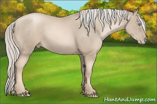 Horse Color:Chocolate Palomino Pearl 