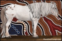 Horse Color:Chestnut Appaloosa