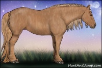 Horse Color:Chestnut  Brindle