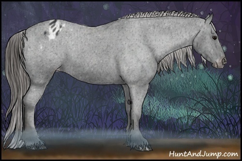Horse Color:Black Appaloosa  Brindle