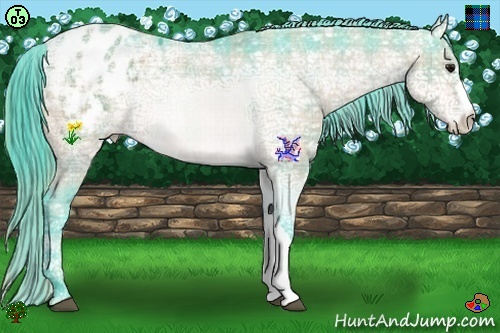 Horse Color:Watercolor Plaid  Bay Ice Varnish 