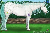 Horse Color:Watercolor Plaid Bay Ice Appaloosa