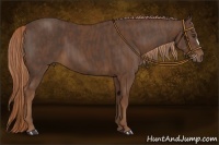 Horse Color:Liver Chestnut Brindle