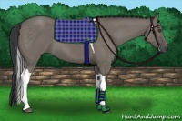 Horse Color:Grullo Tobiano 