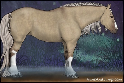 Horse Color:Silver Grullo Brindle