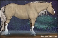 Horse Color:Silver Grullo  Brindle