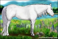 Horse Color:Watercolor White Spotted Bay Ice Dun Appaloosa  Brindle