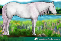 Horse Color:Watercolor White Spotted Bay Ice Dun Appaloosa  Brindle