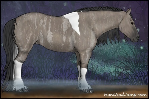 Horse Color:Grullo Roan Tobiano Brindle