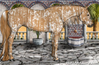 Horse Color:Gray Chestnut  Brindle