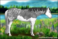 Horse Color:Smoky Black Ice Splash