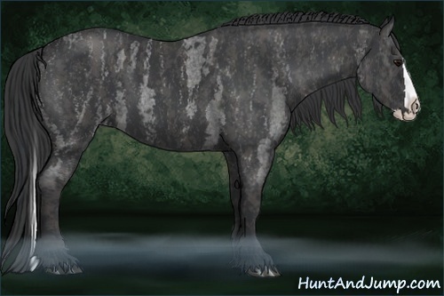 Horse Color:Blue Roan Splash Brindle