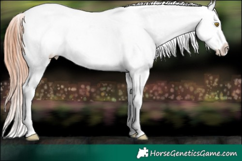Horse Color:Sable Champagne Snowflake Varnish and Sable Champagne Snowflake Varnish