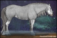 Horse Color:Black Splash Appaloosa Brindle
