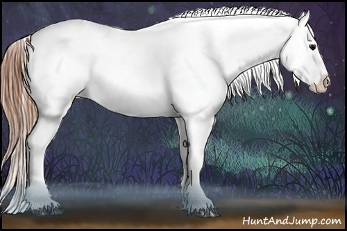 Horse Color:Black Splash Appaloosa  Brindle